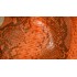 Aligo Group фото